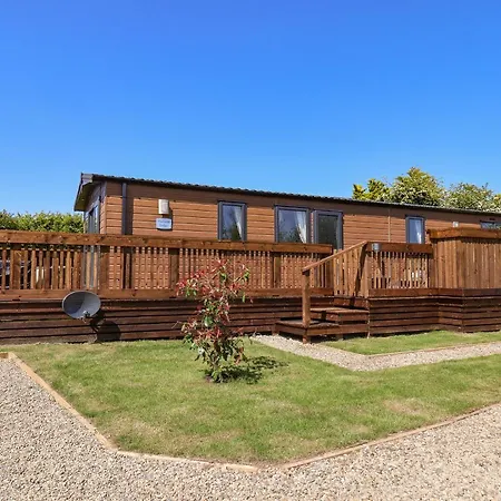 Marigold * Saltburn-by-the-Sea