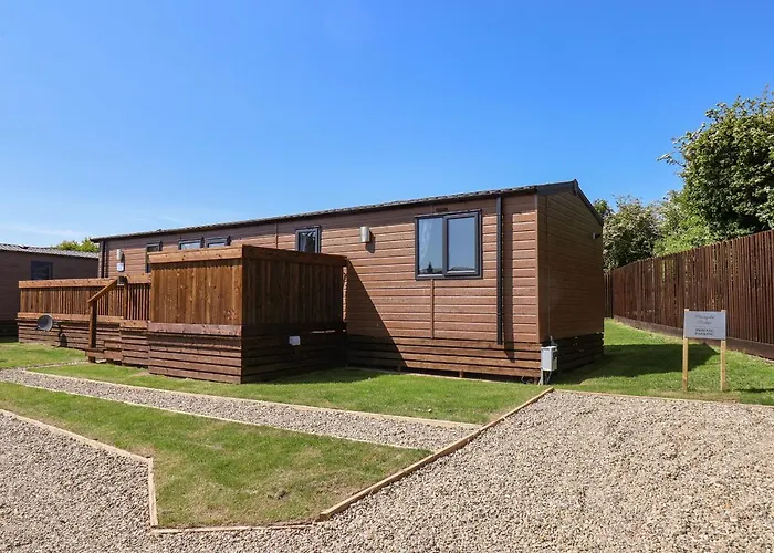 Marigold Saltburn-by-the-Sea