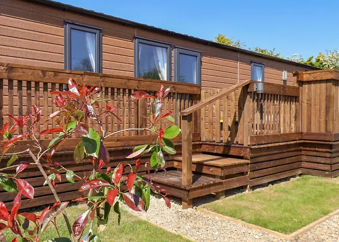 Marigold Saltburn-by-the-Sea