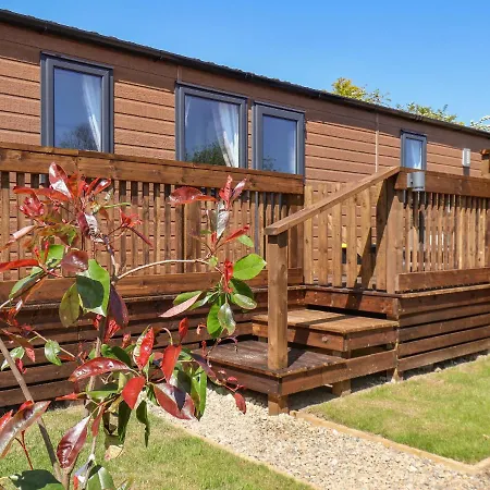 Marigold Saltburn-by-the-Sea